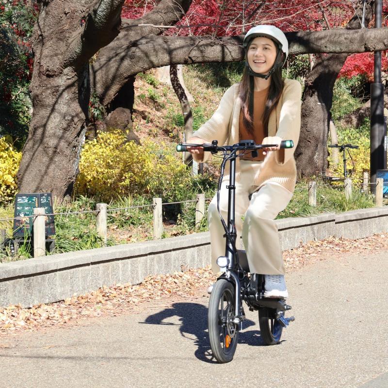 16インチ折畳小型電動バイク