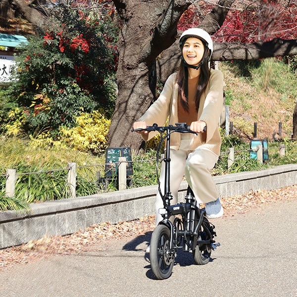 折りたたみ電動アシスト自転車