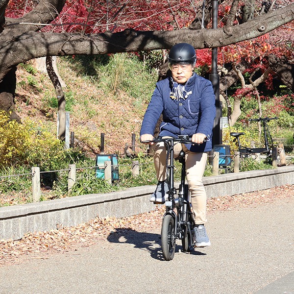 折りたたみ電動アシスト自転車